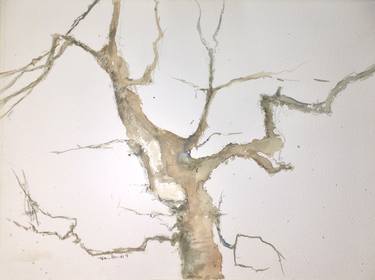Original Tree Paintings by Txon Pomes