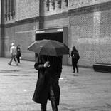 Umbrella Head by anna collins