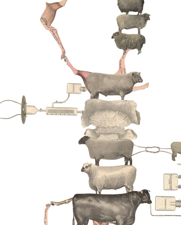 Original Conceptual Animal Collage by Kirsten Stolle