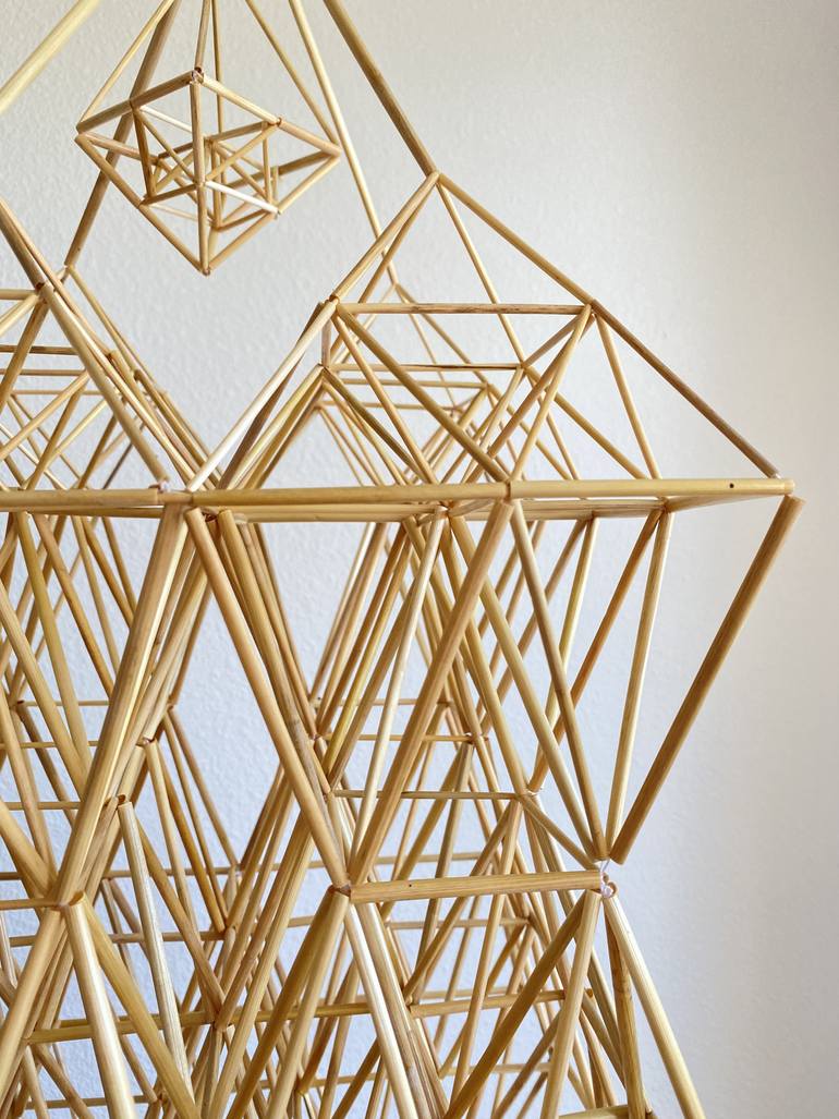 Original Abstract Nature Installation by Julija Jauniuvienė