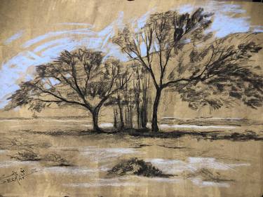 Original Fine Art Landscape Drawings by Shenouda Esmat