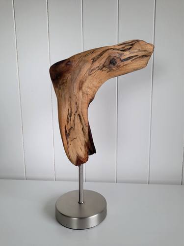 Original Abstract Nature Sculpture by Ole Jensen