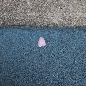 Unintentionally series: LOVE