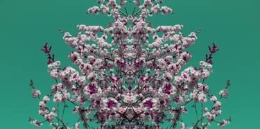 Original Contemporary Floral Photography by Giulia Filippi