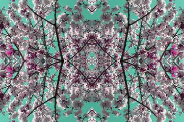 Original Fractal Floral Photography by Giulia Filippi