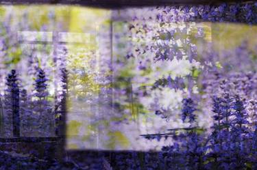 Original Abstract Floral Photography by Brenda Welty