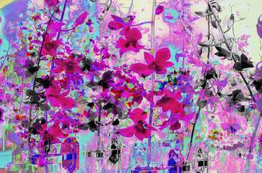 Original Pop Art Floral Photography by Brenda Welty