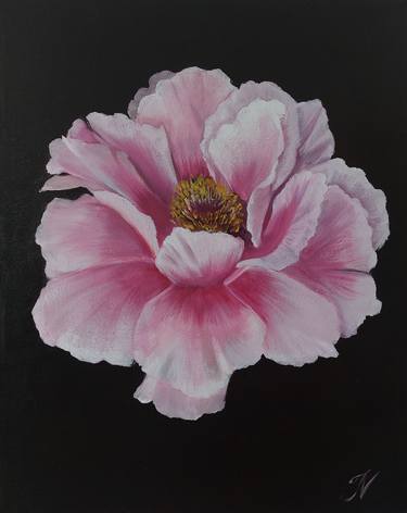 Original Realism Floral Paintings by Janar Nuri