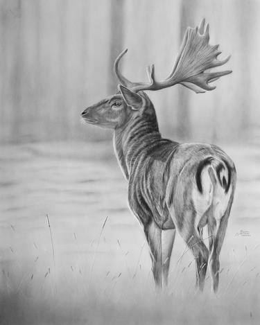 Original Realism Animal Drawing by Kevin Ndeche