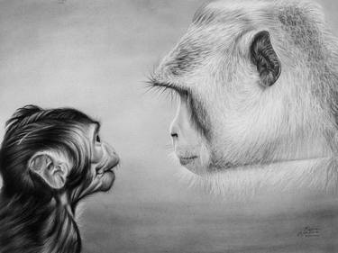 Original Realism Animal Drawings by Kevin Ndeche