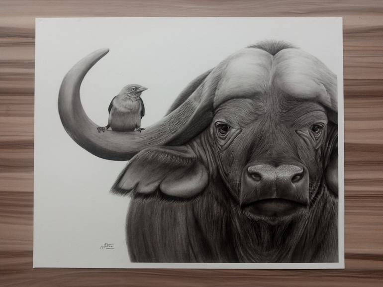 Original Animal Drawing by Kevin Ndeche