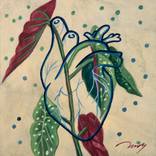 Collection Small Wonders