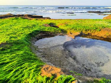 Original Contemporary Landscape Photography by Divyakumar Patel