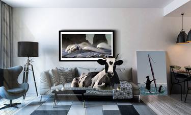 Print of Cows Photography by Moonie the Moocher