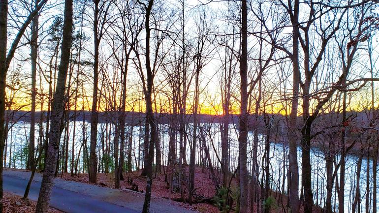 Original Nature Photography by Michael Vanpatten | Other Art on Canvas | Winter Trees on the Lake