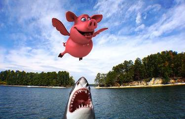Flying Pig as Shark Bait thumb