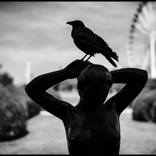 In statue mode by Laurent Delhourme