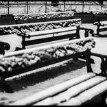 Public benches in the snow by Laurent Delhourme
