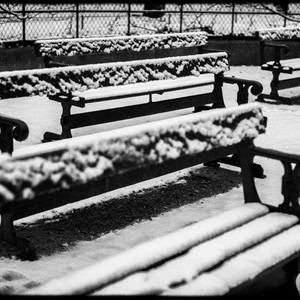 Public benches in the snow