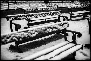 Public benches in the snow thumb