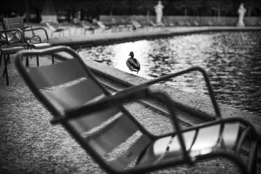 The Duck of the Tuileries thumb