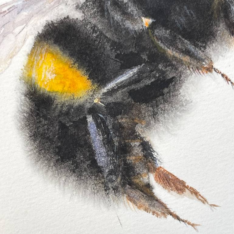 Original Figurative Animal Painting by Myroslava Boikiv