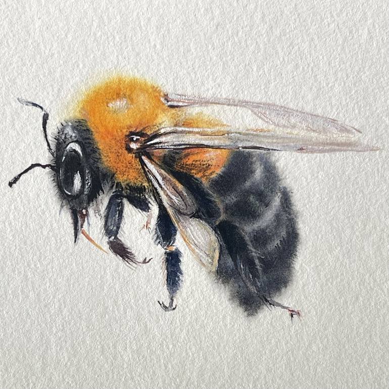 Original Figurative Animal Paintings by Myroslava Boikiv