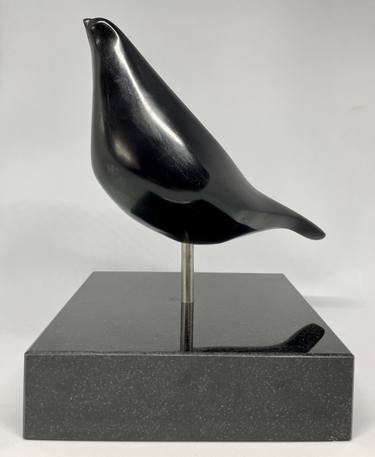 Song thrush thumb