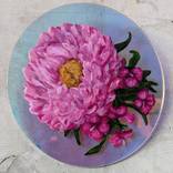 Pink Aster by Sophie Hague