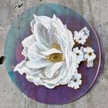 Gardenia by Sophie Hague