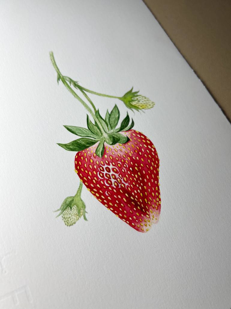 Original Realism Botanic Drawing by Elena Braushenberg