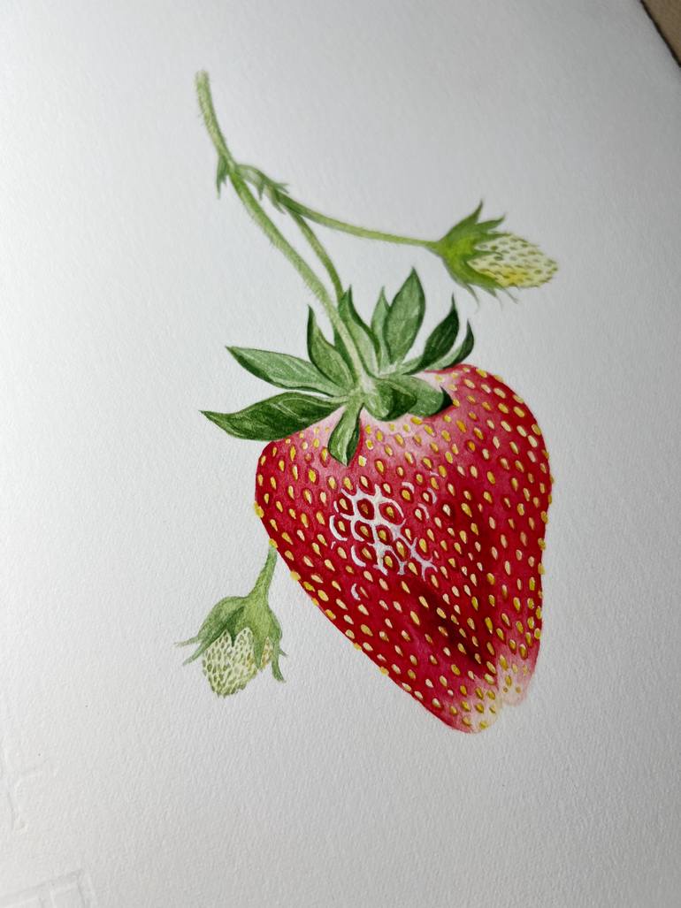 Original Realism Botanic Drawing by Elena Braushenberg