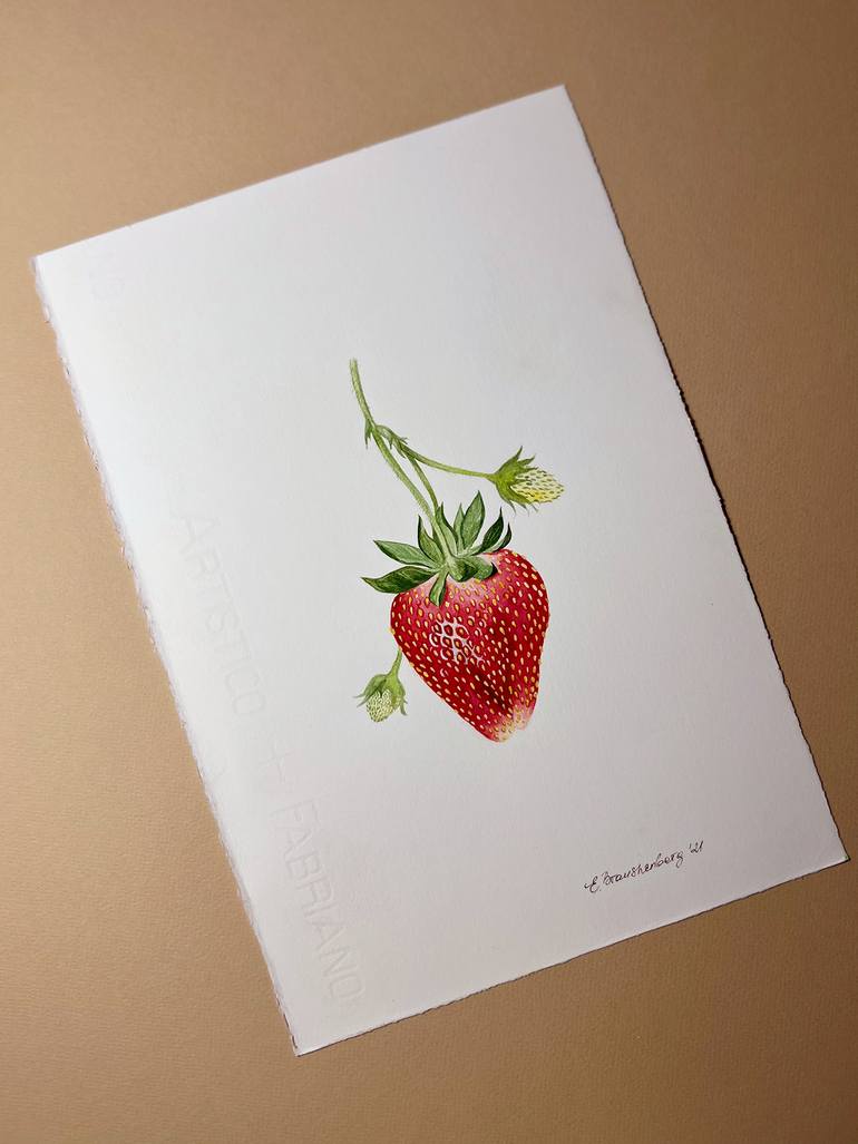 Original Realism Botanic Drawing by Elena Braushenberg