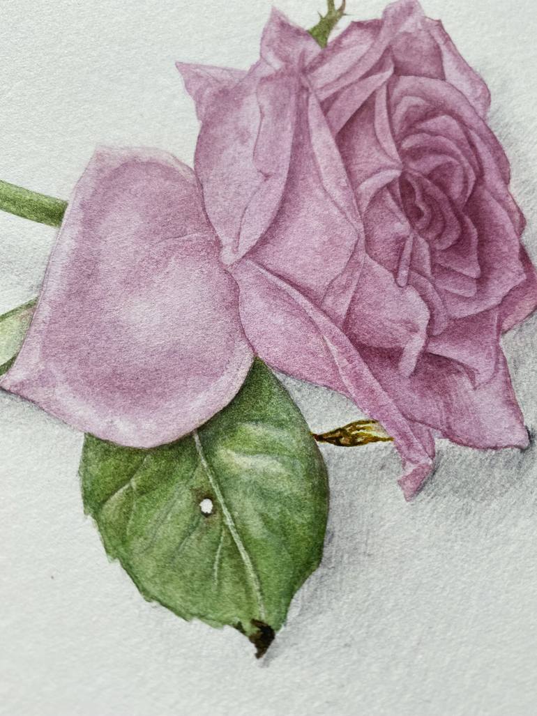 Original Contemporary Nature Painting by Elena Braushenberg