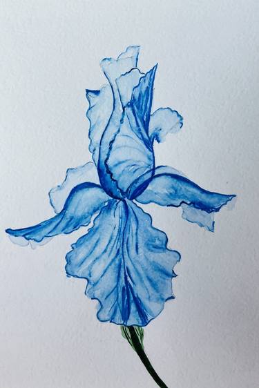 Blue iris flower. Watercolor illustration thumb