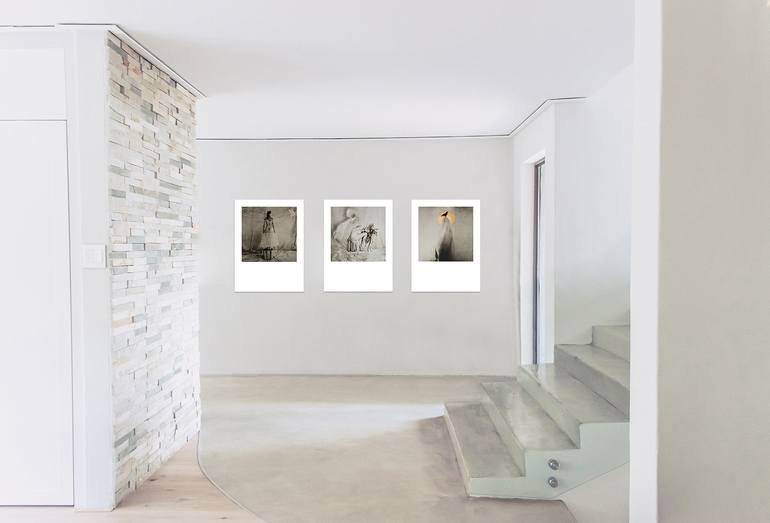 Original Conceptual Abstract Photography by Annie Kruyer