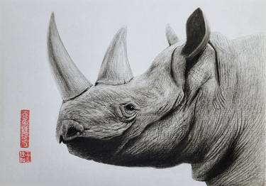 Rhino 01 thumb