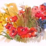Poppies by Neşe Gümüşcüoğlu