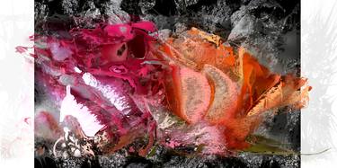 Original Abstract Expressionism Floral Photography by Judith Nothnagel