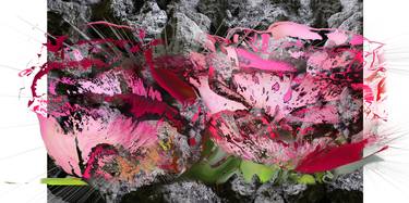 Original Abstract Floral Photography by Judith Nothnagel