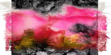 Print of Abstract Floral Photography by Judith Nothnagel
