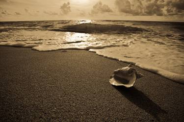 Conch & Surf, Face Mounted to Plexiglass thumb