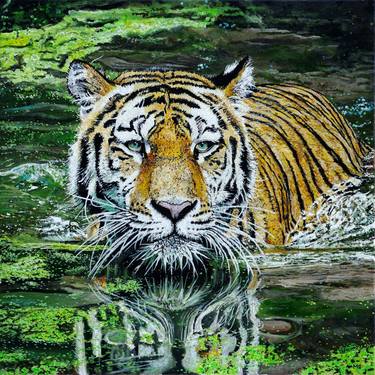 Tiger in the water thumb