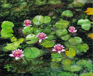 Original Botanic Paintings by Martin Scrase