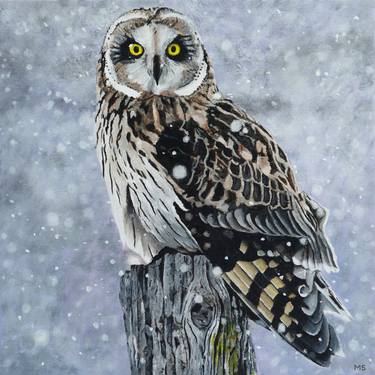 Owl in the snow thumb