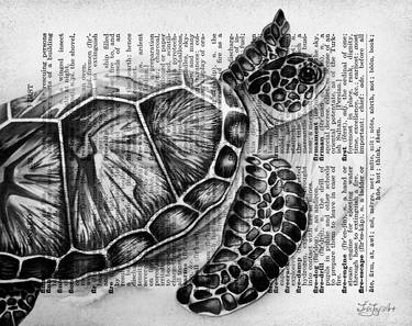 Black white abstract sea turtle art Canvas ocean animal thumb