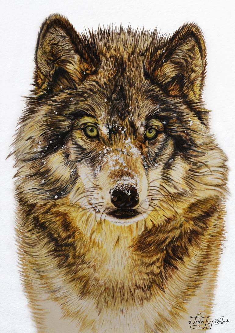 wolf art paintings