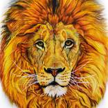 Fierce Lion - SirG - Paintings & Prints, Animals, Birds, & Fish, Wild Cats,  African Lion - ArtPal