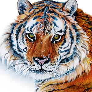 Collection Animal watercolor art painting