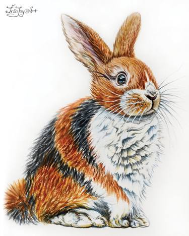 Rabbit bunny animal watercolor painting wall nursery decor gift thumb